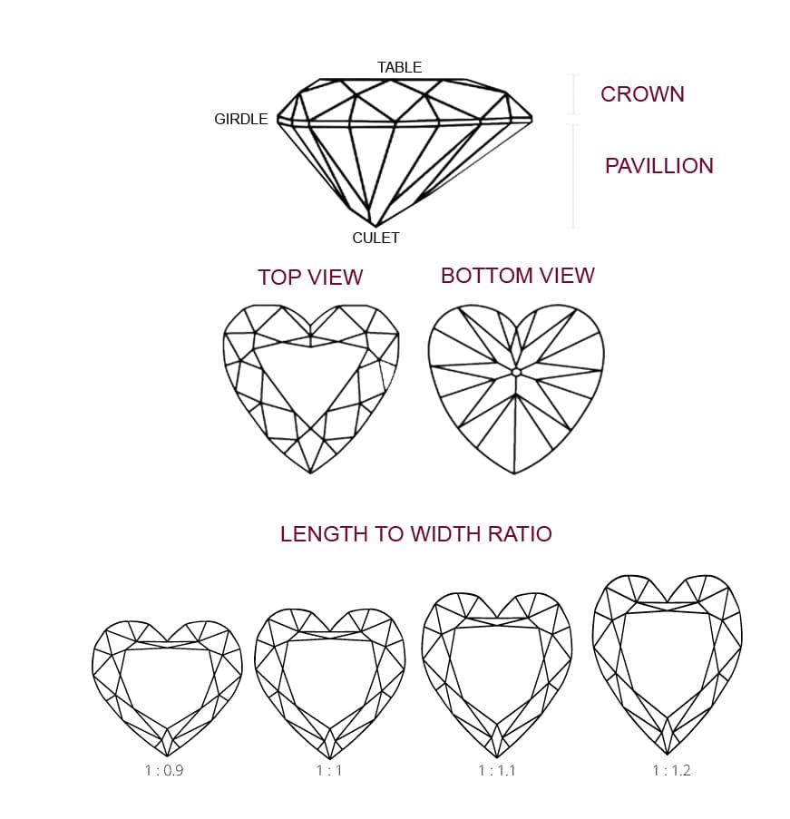 Heart-Shape-diagram