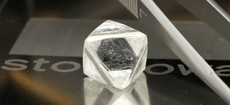 A rough diamond from the Renard