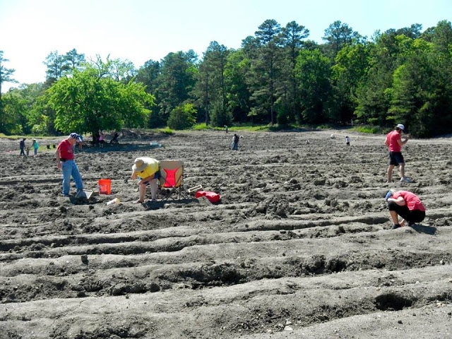 Visitors to the Crater of Diamonds State Park searching the field
