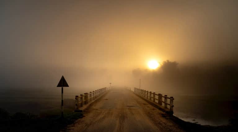 WITH NEW YEAR DAWNING IN A FOG OF UNCERTAINTY, INVESTMENTS IN TECH AND VALUES PROVIDE CLARITY