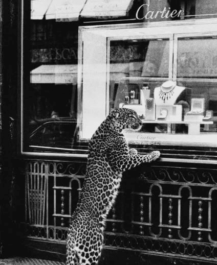 Cartier