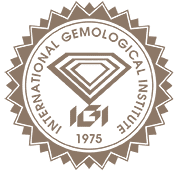 logo_only_IGI